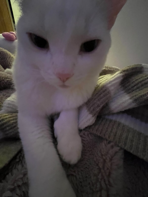 create-a-gay-tier-list-tier-list-tiermaker