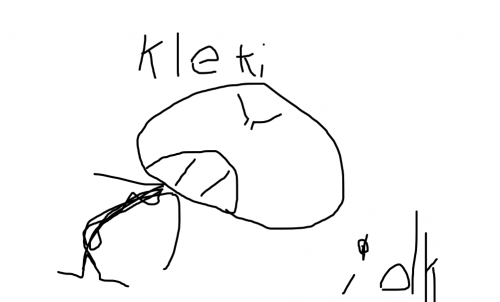 kleki drawing