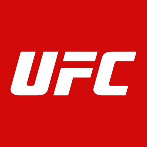 Create a UFC Fighters (Post-UFC 333) Tier List - TierMaker