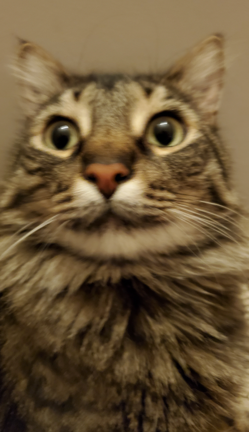 Numbers 0 50 Tier List Community Rankings TierMaker numbers-0-50-tier-list-community-rankings-tiermaker