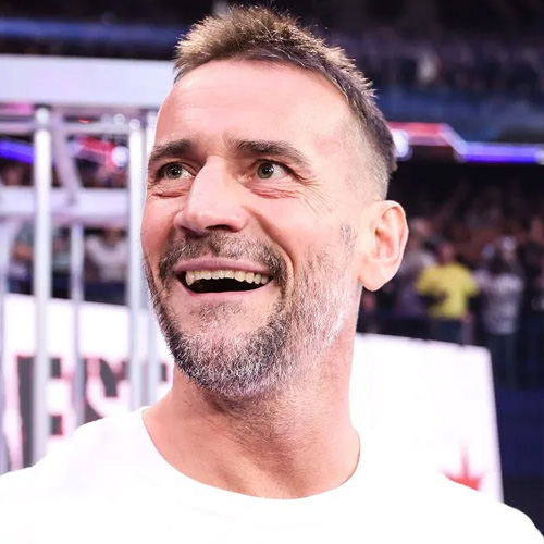 create-a-cm-punk-hairstyles-tier-list-tiermaker