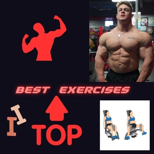 Create a EJERCICIOS PARA EL GYM Tier List TierMaker