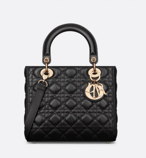 Create a Dior bags Tier List TierMaker