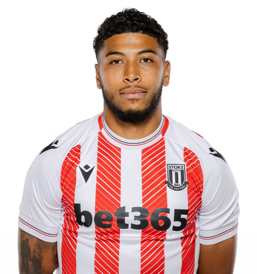 Players Wild Card Move To Stoke City A Risky Bet - sd9pecs
