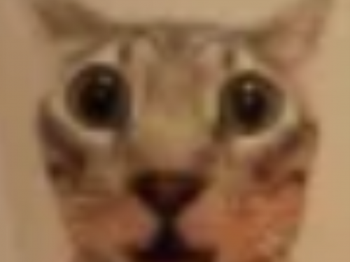 Buncha Idiots New And Improved Tier List Community Rankings Tiermaker