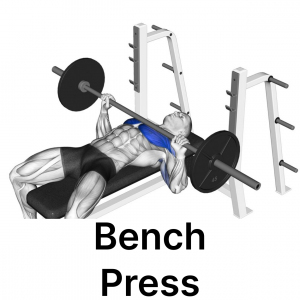 Create a Favorite Gym Exercises In My Program Tier List - TierMaker