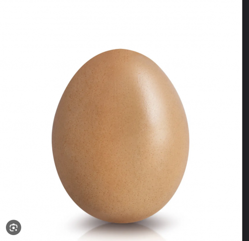 TSW S5 D2 Predictions Tier List (Community Rankings) TierMaker