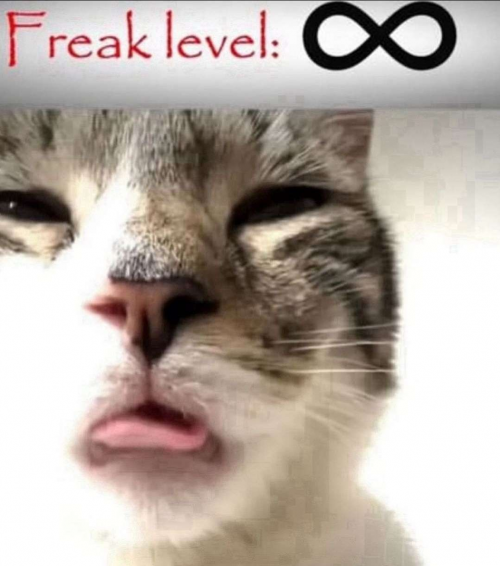 Cdcl Levels Tier List Community Rankings TierMaker cdcl-levels-tier-list-community-rankings-tiermaker