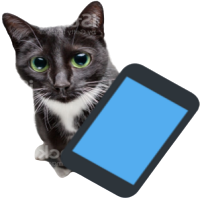 Android Executors | Roblox Tier List (Community Rankings) - TierMaker