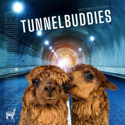 Tunnelbuddy movies Tier List Rankings) TierMaker