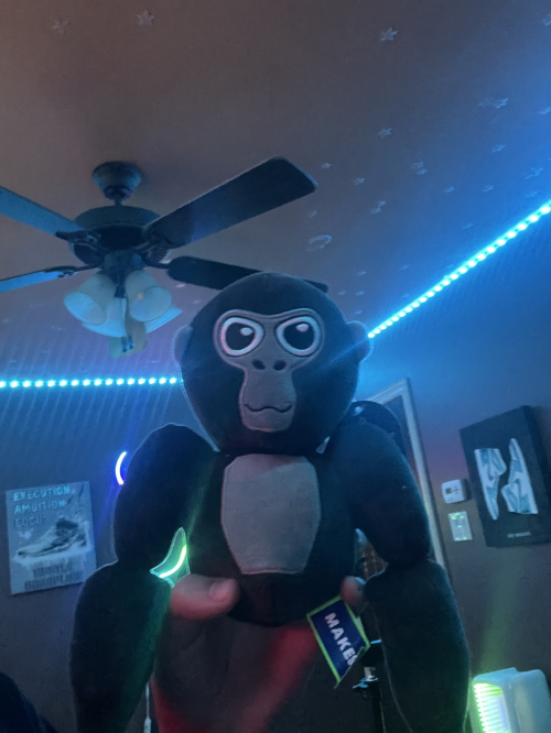 Create a Gorilla Tag Fan Games Tier List TierMaker