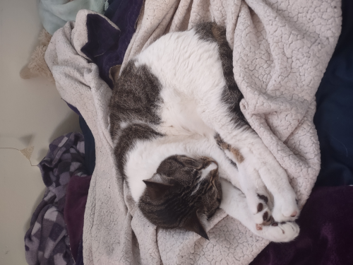 Create a kin list Tier List - TierMaker