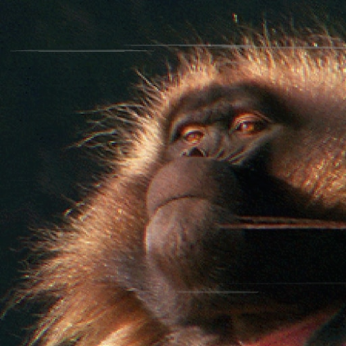 create-a-250-music-artist-tier-list-tier-list-tiermaker