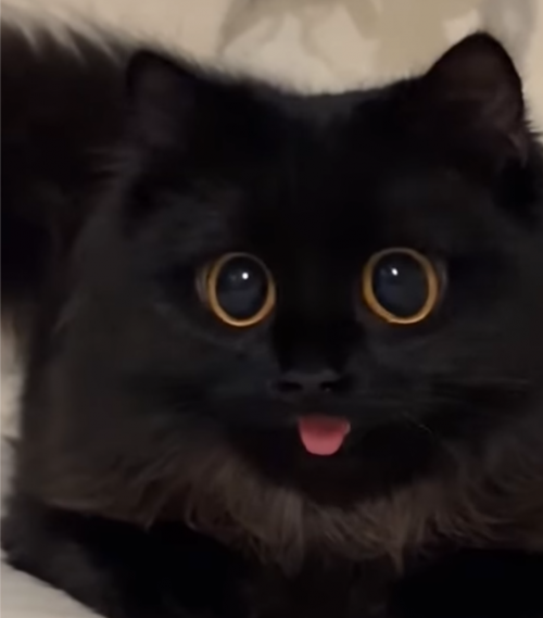 Create a SKILL REQUIREMENT IN RBP CHRS Tier List - TierMaker