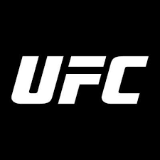 Create a UFC Fighters Tier List - TierMaker