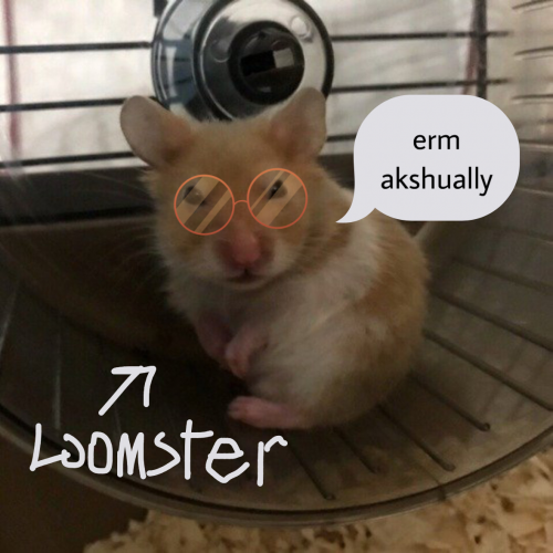 Create a 4 loomster Tier List - TierMaker