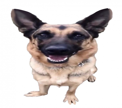 Create a .gg/valdetutoriales Tier List - TierMaker