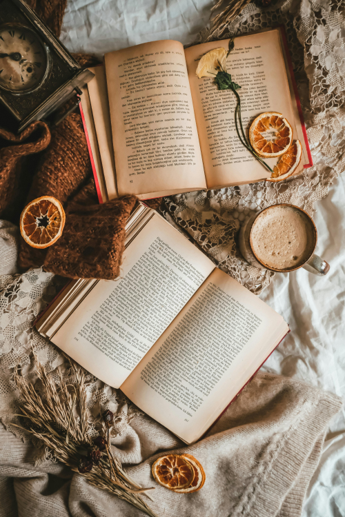 Book Rinking 2025 Book Ranking Tier List (Community Rankings) - TierMaker