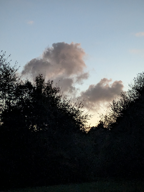 Jess and Mia cocktail Tier List Rankings) TierMaker