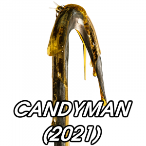 Zzzzz 1771795416candyman 2021 — 2026 Media (Pit) option 26