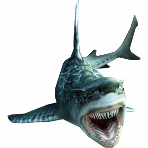 Zzzzz 1760223710ems02800 — 99%(ish) of all the Monsters/Creatures in Monster Hunter 6.0 option 636