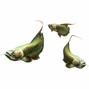 Zzzzz 1760223711ems03100 — 99%(ish) of all the Monsters/Creatures in Monster Hunter 6.0 option 639