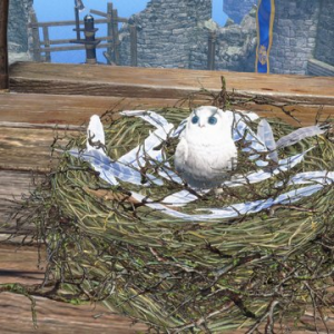 Zzzzz 1760223714npc Cohoot01 — 99%(ish) of all the Monsters/Creatures in Monster Hunter 6.0 option 718