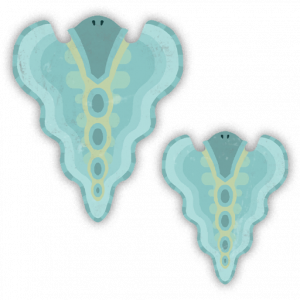 Zzzzz 1760223851ec12300 — 99%(ish) of all the Monsters/Creatures in Monster Hunter 6.0 option 919