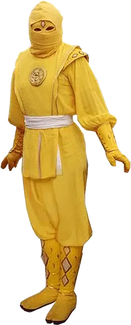 Mmpr Yellowninja1 — All Super Sentai/Power Rangers Forms option 194