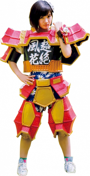 Ninnin Fukachozetsu — All Super Sentai/Power Rangers Forms option 672