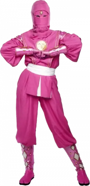 Zzzzz 1755009880mmpr Pinkninja — All Super Sentai/Power Rangers Forms option 195