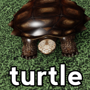 Robloxplayerbetauzmu8n0s4s — Item Asylum All Misc Items Tier List option 159