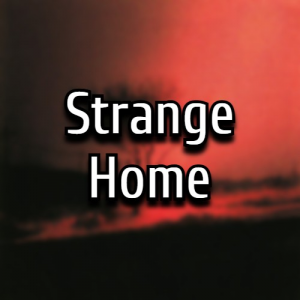 Piss Strange Home — All Joji Songs & Features (2026) option 105