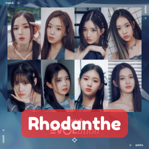 Zzzzz 1715205985rhodanthe — TripleS All Songs option 31