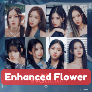 Zzzzz 1715205986enhanced Flower — TripleS All Songs option 36