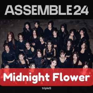 Zzzzz 1715205987midnight Flower — TripleS All Songs option 43