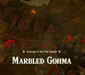 Every Legend of Zelda Boss — option 290
