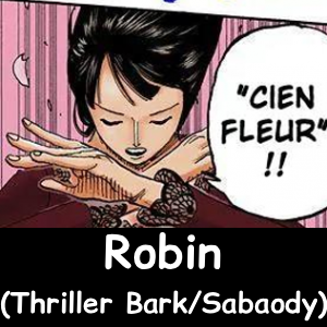 The NEW Definitive One Piece Powerscaling Tier List (900+) — option 90