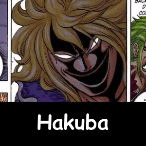 The NEW Definitive One Piece Powerscaling Tier List (900+) — option 119