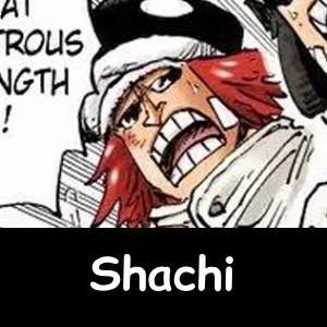 The NEW Definitive One Piece Powerscaling Tier List (900+) — option 170