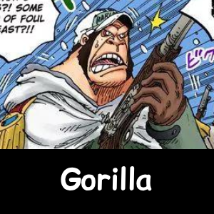 The NEW Definitive One Piece Powerscaling Tier List (900+) — option 256