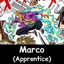 The NEW Definitive One Piece Powerscaling Tier List (900+) — option 395