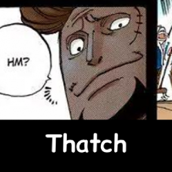 The NEW Definitive One Piece Powerscaling Tier List (900+) — option 406