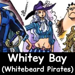 The NEW Definitive One Piece Powerscaling Tier List (900+) — option 422