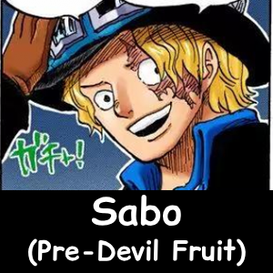 Zzzzz 1790618006559 — The NEW Definitive One Piece Powerscaling Tier List (900+) option 585