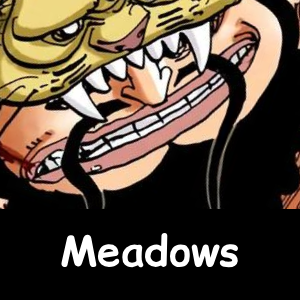 Zzzzz 1790618019821 — The NEW Definitive One Piece Powerscaling Tier List (900+) option 868