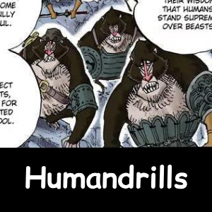 Zzzzz 1790618022896 — The NEW Definitive One Piece Powerscaling Tier List (900+) option 950