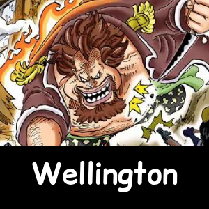 Zzzzz 1790618022907 — The NEW Definitive One Piece Powerscaling Tier List (900+) option 963