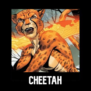 Cheetah — DC Scaling option 29