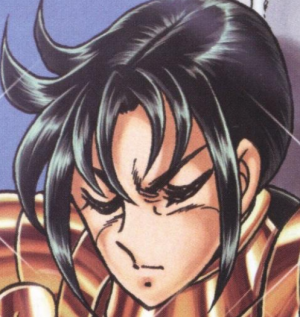 seiyama様✦︎3点おまとめ Create a Saint Seiya: Next Dimension Power Tier Tier List - TierMaker